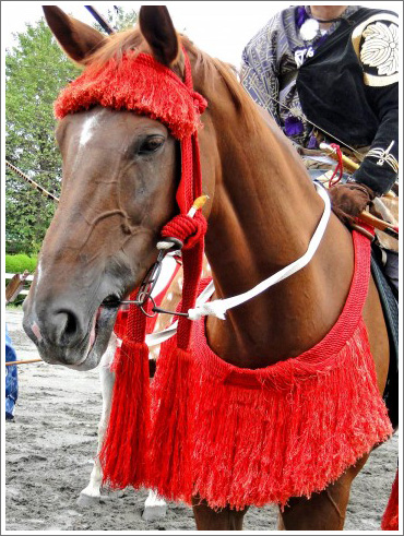 競馬ぼやきイメージ018