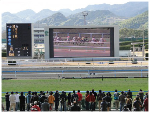 日刊スポーツ賞シンザン記念 予想