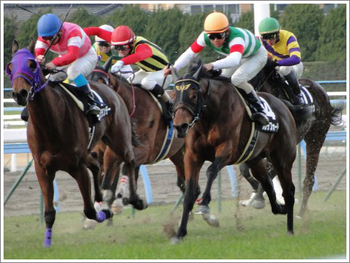 ジャパンカップダートの競馬予想015