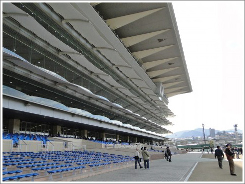 京都牝馬ステークス 予想038